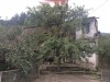 .Срочно продам двухэтажный дом в Дилижане.